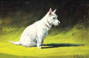 A West Highland Terrier by George Paice