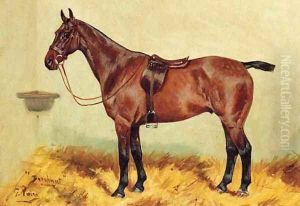 Beechnut, a bay Hunter in a Stable by George Paice