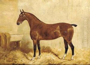 Flexible, a brown hunter in a stable