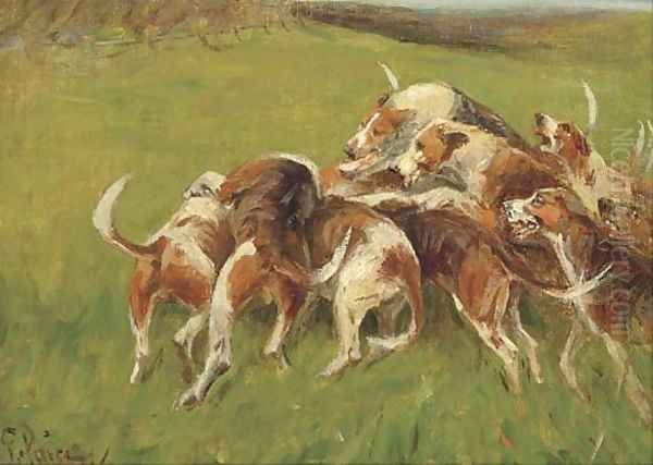 Hounds closing in - view 1