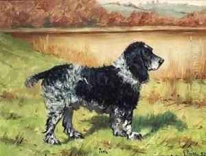 Jim, a Springer Spaniel