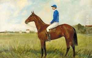 Lord Saint Ives, a bay racehorse with jockey up