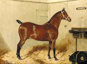 Mighty Atom, a bay hunter in a stable by George Paice