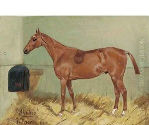 Shaker by George Paice