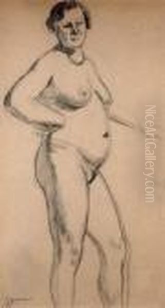 Modele De Profil - view 1