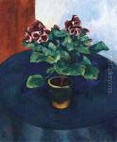 Le Pelargonium - view 1
