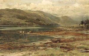 Cattle watering by an estuary