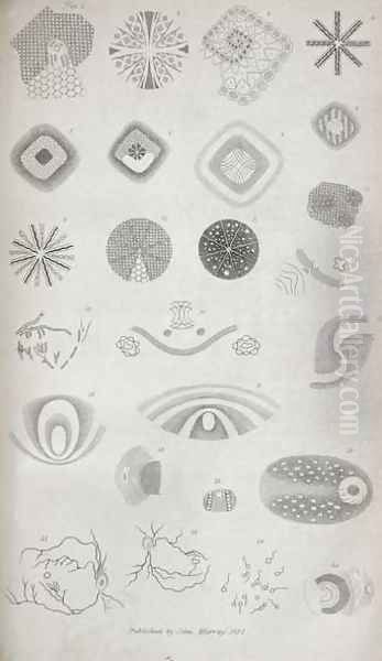 Plate II from Contributions of the physiology of vision No. I, published in the Journal of the Royal Institution, 1830 - view 1