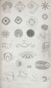 Plate II from Contributions of the physiology of vision No. I, published in the Journal of the Royal Institution, 1830