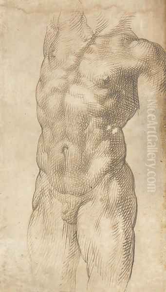 A nude male torso - view 1