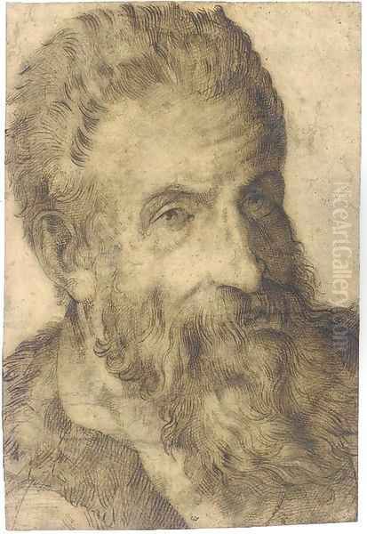 Portrait of a bearded man looking to the right, said to be Pellegrino Tibaldi - view 1