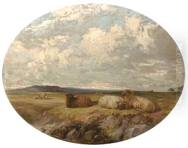 Sheep in a meadow - view 1