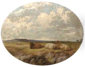 Sheep in a meadow by Edward Pritchard