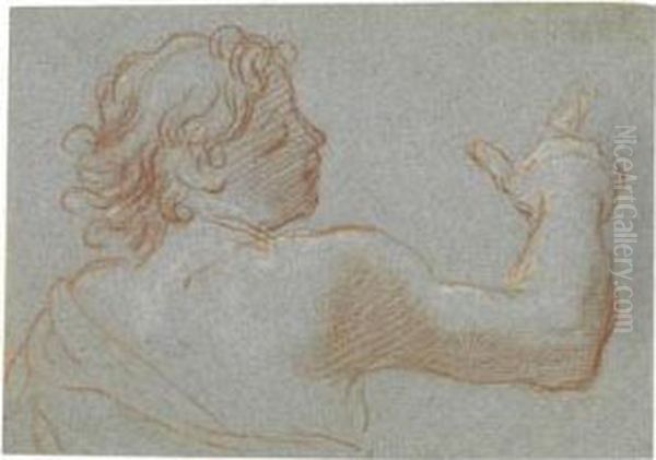 A Study Of A Young Man - view 1