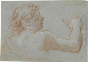A Study Of A Young Man by Carlo Maratta or Maratti