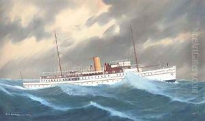 The R.C.Y.C. motor yacht Princess in a heavy swell by L. Papaluca