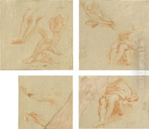Studi Anatomici by Carlo Maratta or Maratti