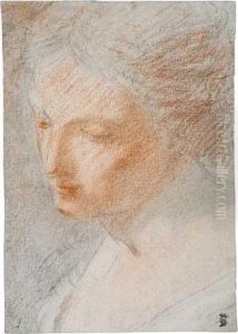 A Woman's Head, Looking Down To The Left