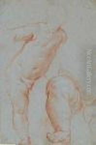 Un Enfant Nu, Etude Subsidiaire De Jambe Droite by Carlo Maratta or Maratti