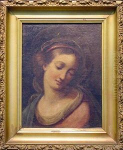 Head Of The Virgin