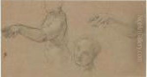 A Sheet Of Studies Of A Female Nude: Her Torso, Face And Outstretched Arm by Carlo Maratta or Maratti