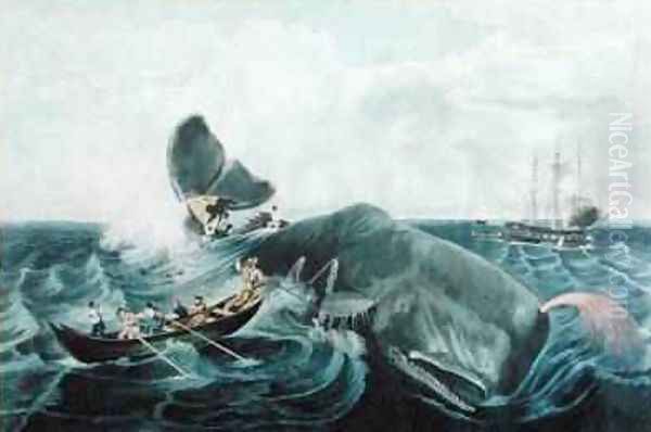 Capturing a Sperm Whale, engraved by J. Hill, published 1835 - view 1