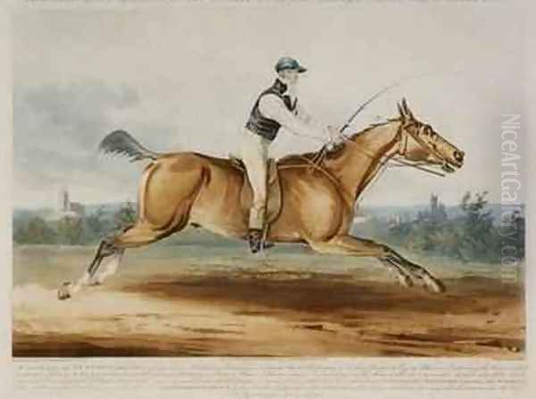 Portrait of Mr William Hutchinson on Stareing Tom, engraved by H. Meyer, 1819 - view 1