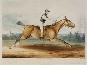 Portrait of Mr William Hutchinson on Stareing Tom, engraved by H. Meyer, 1819 by Pardon, J.