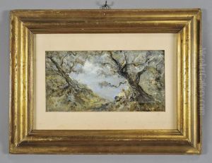 Figura Tra Gli Ulivi