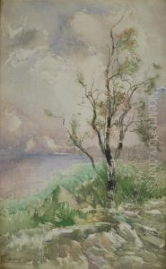Albero Albero