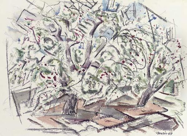 Apple Orchard In Bloom - view 1