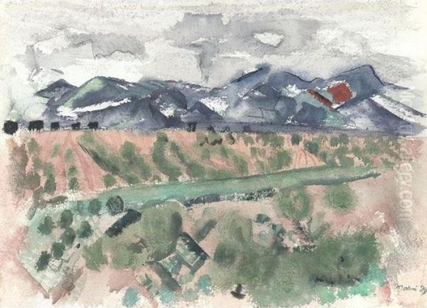 New Mexico Landscape - view 1