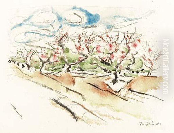 Peach Trees In Blossom - view 1