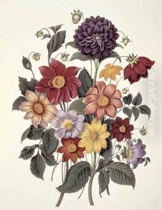 Dahlias, engraved by Weddell, plate 10 from Beauties of Flora by S. Curtis, 1820 by Clara Maria Pope