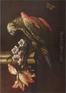 Natura Morta Con Fiori E Pappagallo by Mario Nuzzi Mario Dei Fiori
