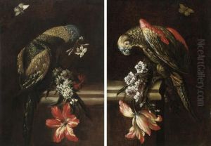 A Parrot With Blue, Green And
Gold Plumage, Perched On A Stone Ledge, With Orange Blossom by Mario Nuzzi Mario Dei Fiori