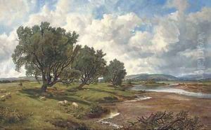 On the Tweed at Nesbitt On the Tweed at Nesbitt