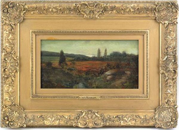 Landscape - view 1