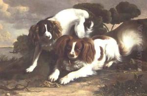 Two King Charles Spaniels Playing with a Frog