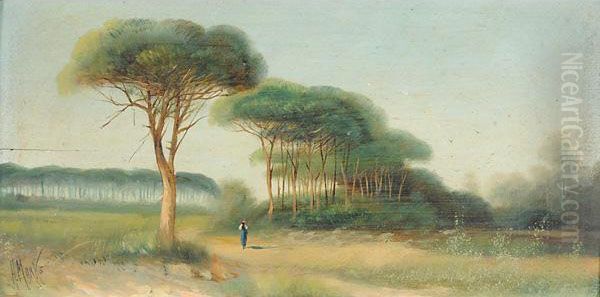 Raffiguranti Paesaggi - view 1