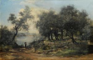 Paesaggio Campestre