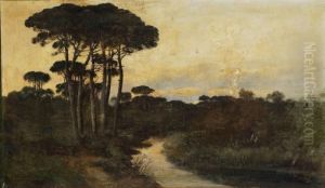 Paesaggio Campestre