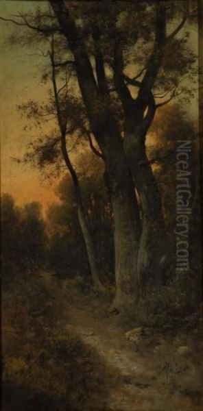 Bosco Con Sentiero - view 1