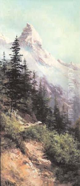 Il Cervino - view 1