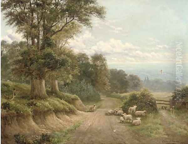 A lane near Dorking, Surrey - view 1