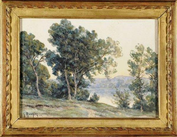 Arbres Au Bord Du Lac - view 1