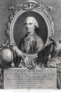 Georges-Louis Leclerc 1707-88 Comte de Buffon, engraved by Vincenzio Vangelisti 1738-98 1777 by Pujos, Andre