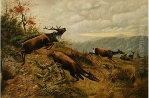 Cerf Et Biches