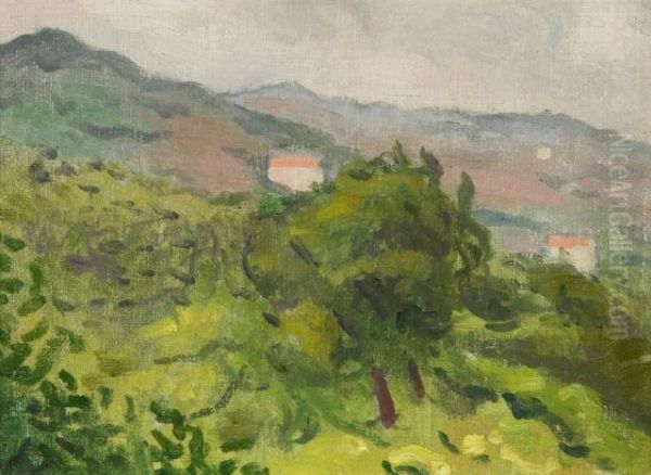 Paysage De Ceret - view 1
