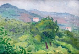Paysage Pres De Ceret Paysage Pres De Ceret